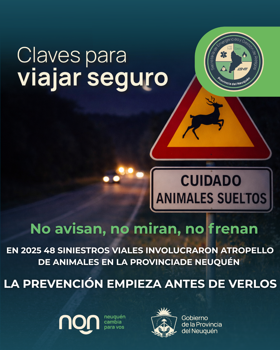 Animales sueltos 